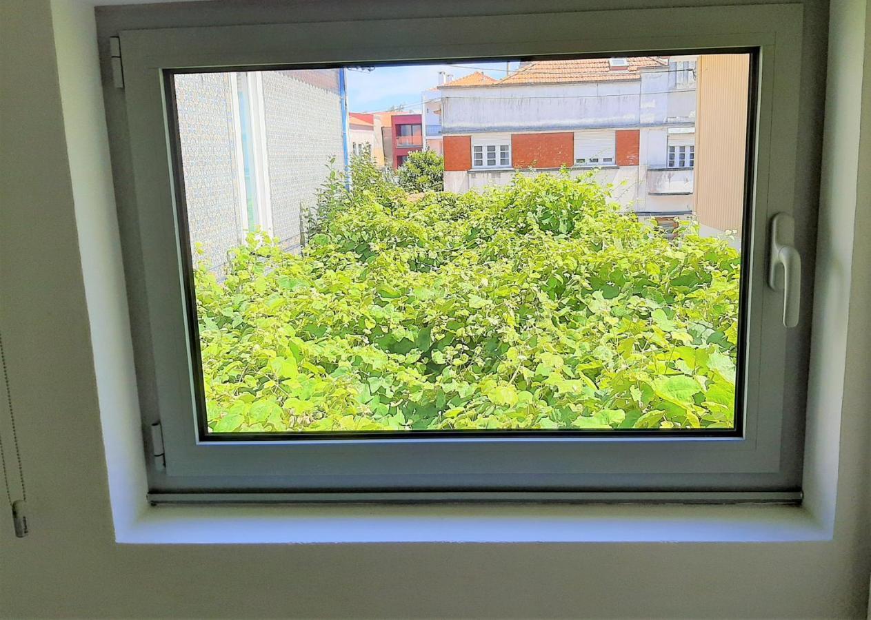 Casa Das Camelias Garden Guesthouse Aveiro Eksteriør billede