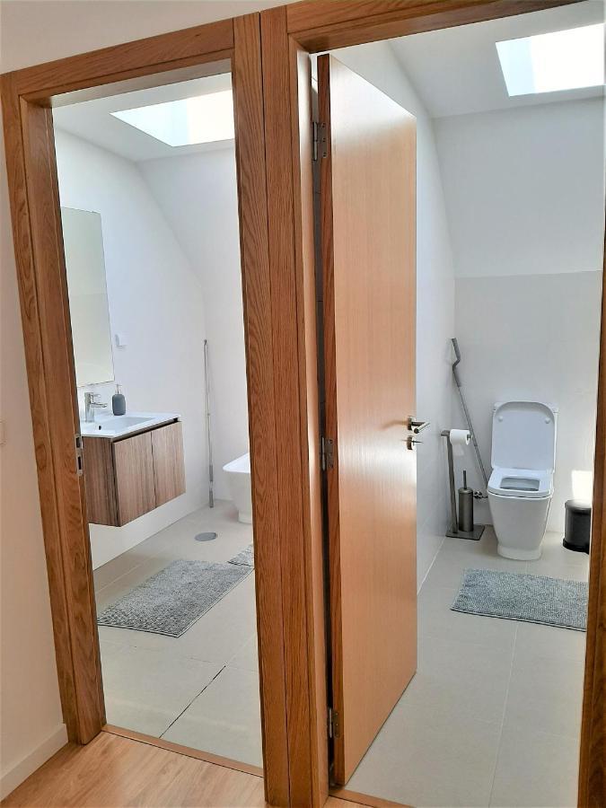 Casa Das Camelias Garden Guesthouse Aveiro Eksteriør billede